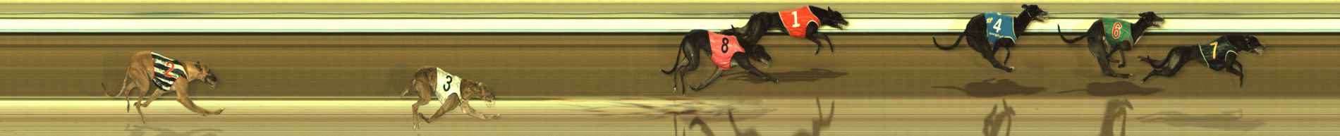 Race result finish photo